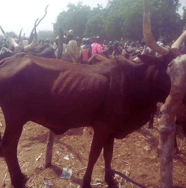 Ramadan Feeding 7
